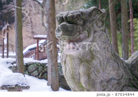 新海三社神社東側口の開いた狛犬 新海三社神社東側口の開いた狛犬 87034844