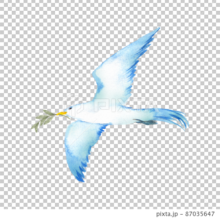 Blue bird carrying a tree branch 87035647