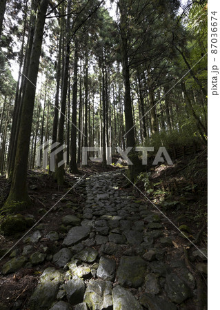 旧東海道石畳 旧東海道石畳 87036674