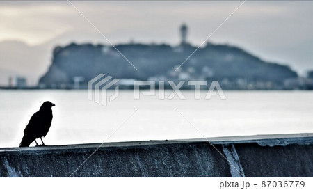 神奈川県鎌倉市七里ガ浜駐車場から見た烏と江の島 87036779