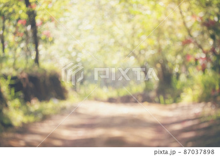 Blur background green park garden nature bright sunny forest. Blurry outdoor park in spring time glowing shinny day template with sunlight bokeh. Abstract blurred background banner copy space. Blur background green park garden nature bright sunny forest. Blurry outdoor park in spring time glowing shinny day template with sunlight bokeh. Abstract blurred background banner copy space. 87037898