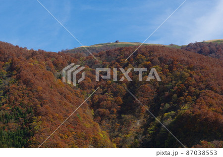 秋の部子山　福井県今立郡池田町 87038553