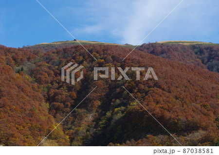 秋の部子山 福井県今立郡池田町 秋の部子山 福井県今立郡池田町 87038581