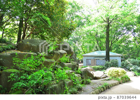 杉並区井草森公園 87039644