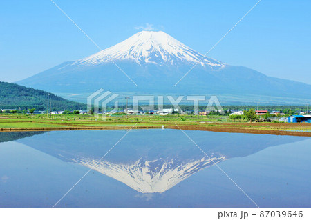 初夏の青空 水田風景と富士山 初夏の青空 水田風景と富士山 87039646