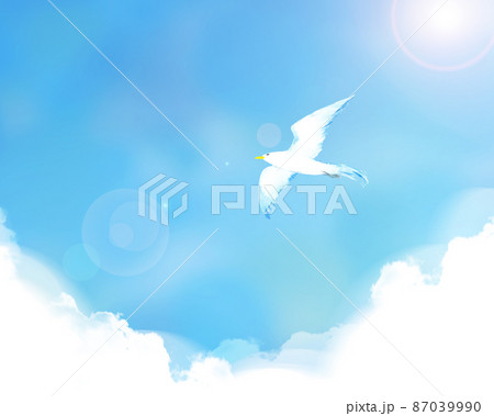 青空を飛ぶ鳥の風景イラスト 87039990