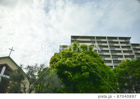 都会の自然豊かなマンション 都会の自然豊かなマンション 87040897