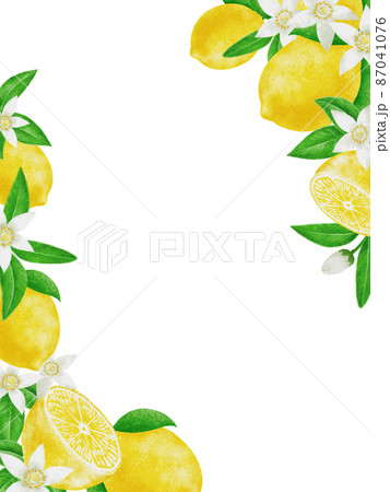 夏のレモンの果実と花のフレーム 87041076