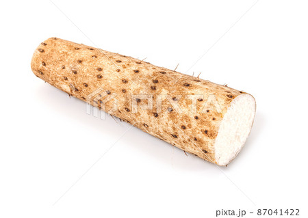 泥を洗った採れ立ての長芋【白背景】 泥を洗った採れ立ての長芋【白背景】 87041422