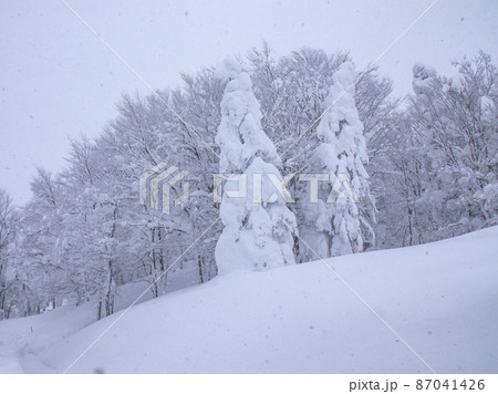 蔵王　樹氷　大雪 87041426