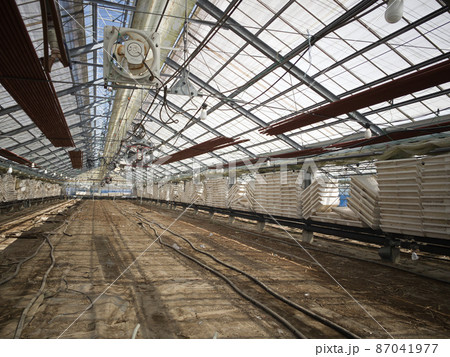 ハウスのメンテナンス　建替え 87041977