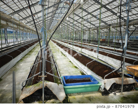 ハウスのメンテナンス　建替え 87041979