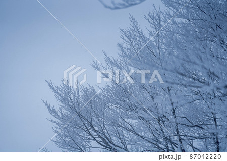 冬の蔵王高原「霧氷」　山形県山形市 87042220