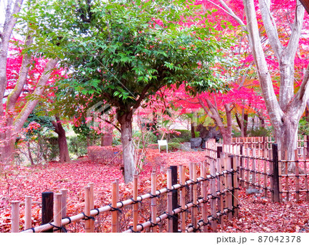 桜山公園 茶室庭園 桜山公園 茶室庭園 87042378