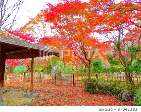 桜山公園　茶室庭園 87042383