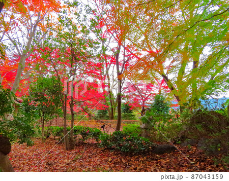 桜山公園 茶室庭園 桜山公園 茶室庭園 87043159