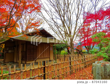 桜山公園 茶室庭園 桜山公園 茶室庭園 87043160