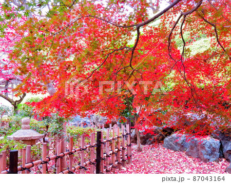 桜山公園 茶室庭園 桜山公園 茶室庭園 87043164