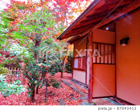 桜山公園 茶室庭園 桜山公園 茶室庭園 87043411