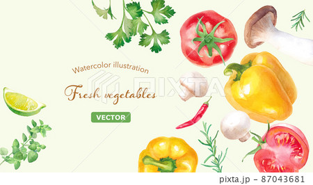 新鮮な夏野菜とハーブの水彩イラスト ヘルシーイメージバナー ベクター のイラスト素材
