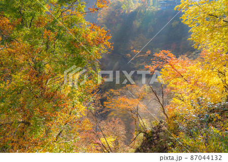 紅葉の秋イメージ　鳴子峡（宮城県大崎市） 87044132