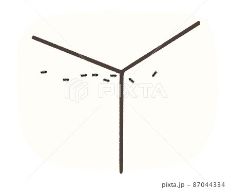 家の中に発生した、蟻の行列 87044334