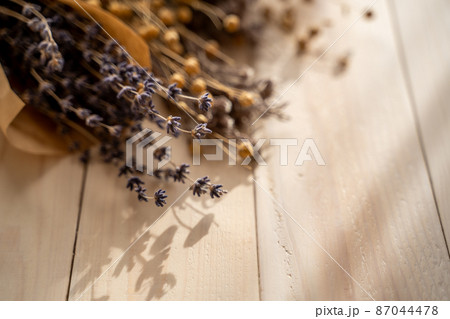 ドライフラワー　背景素材イメージ 87044478