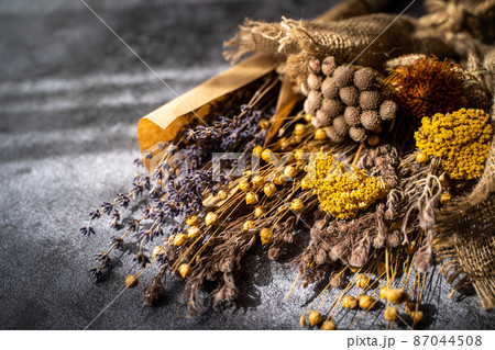 ドライフラワー　背景素材イメージ 87044508