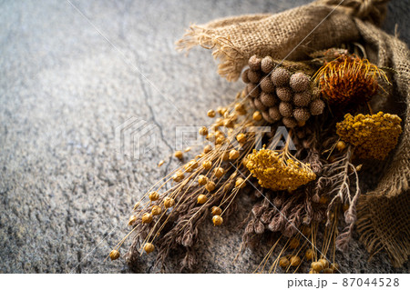 ドライフラワー　背景素材イメージ 87044528