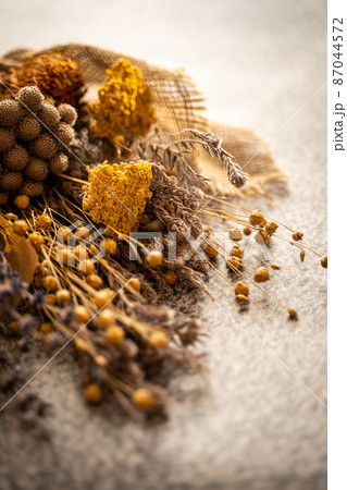 ドライフラワー 背景素材イメージ ドライフラワー 背景素材イメージ 87044572
