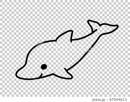 海豚插圖黑白 海豚插圖黑白 87044613