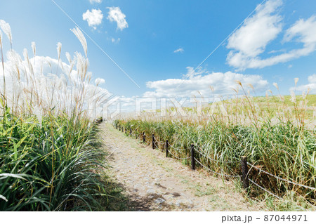 曽爾高原のススキ 曽爾高原のススキ 87044971