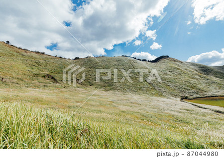 曽爾高原のススキ 87044980