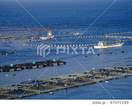 エメラルドブルーの海と黒マグロと真鯛の養殖場 エメラルドブルーの海と黒マグロと真鯛の養殖場 87045289