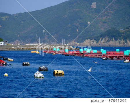 高知柏島の養殖筏と浮きブイ 高知柏島の養殖筏と浮きブイ 87045292
