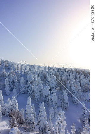 樹氷 霧氷 蔵王 樹氷 霧氷 蔵王 87045300