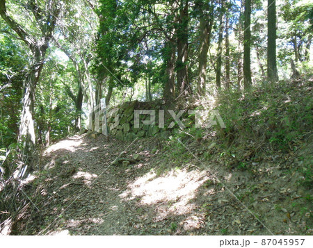 播磨　置塩城の曲輪と石垣 87045957