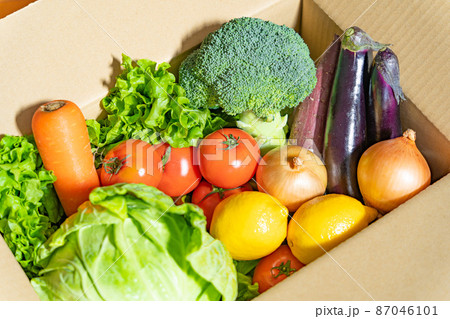 段ボール箱に入った野菜 87046101