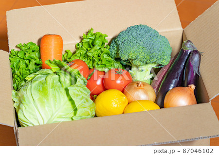 段ボール箱に入った野菜 87046102
