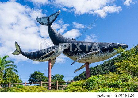 太地町のクジラのモニュメント 太地町のクジラのモニュメント 87046324