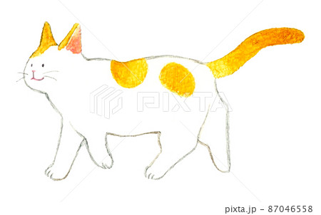 猫のかわいい手描き水彩イラスト　歩く横向きの茶白猫 87046558