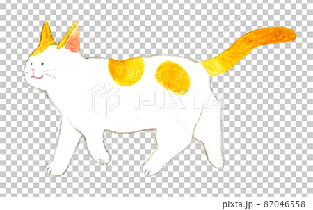 猫のかわいい手描き水彩イラスト　歩く横向きの茶白猫 87046558