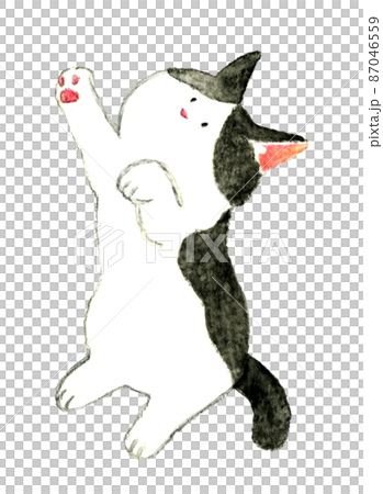 一隻貓的可愛手繪水彩插圖,一隻站在後腿上的黑白蜂貓 一隻貓的可愛手繪水彩插圖,一隻站在後腿上的黑白蜂貓 87046559
