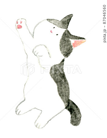 猫のかわいい手描き水彩イラスト 後ろ足で立つ白とグレーのハチワレ猫 猫のかわいい手描き水彩イラスト 後ろ足で立つ白とグレーのハチワレ猫 87046560