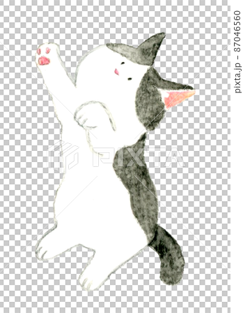 猫のかわいい手描き水彩イラスト 後ろ足で立つ白とグレーのハチワレ猫 猫のかわいい手描き水彩イラスト 後ろ足で立つ白とグレーのハチワレ猫 87046560