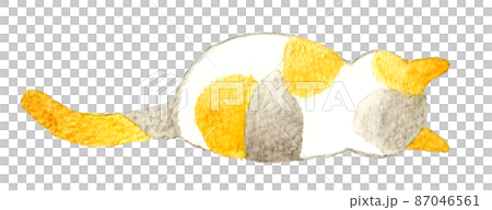 一隻貓的可愛手繪水彩插圖,一隻睡著的淡色印花布貓的背 一隻貓的可愛手繪水彩插圖,一隻睡著的淡色印花布貓的背 87046561