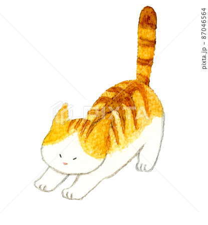 猫のかわいい手描き水彩イラスト しっぽを立てて伸びる茶トラ猫の 