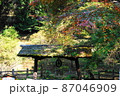 紅葉e 87046909