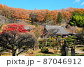 紅葉g 87046912