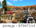 寺社2 87047114